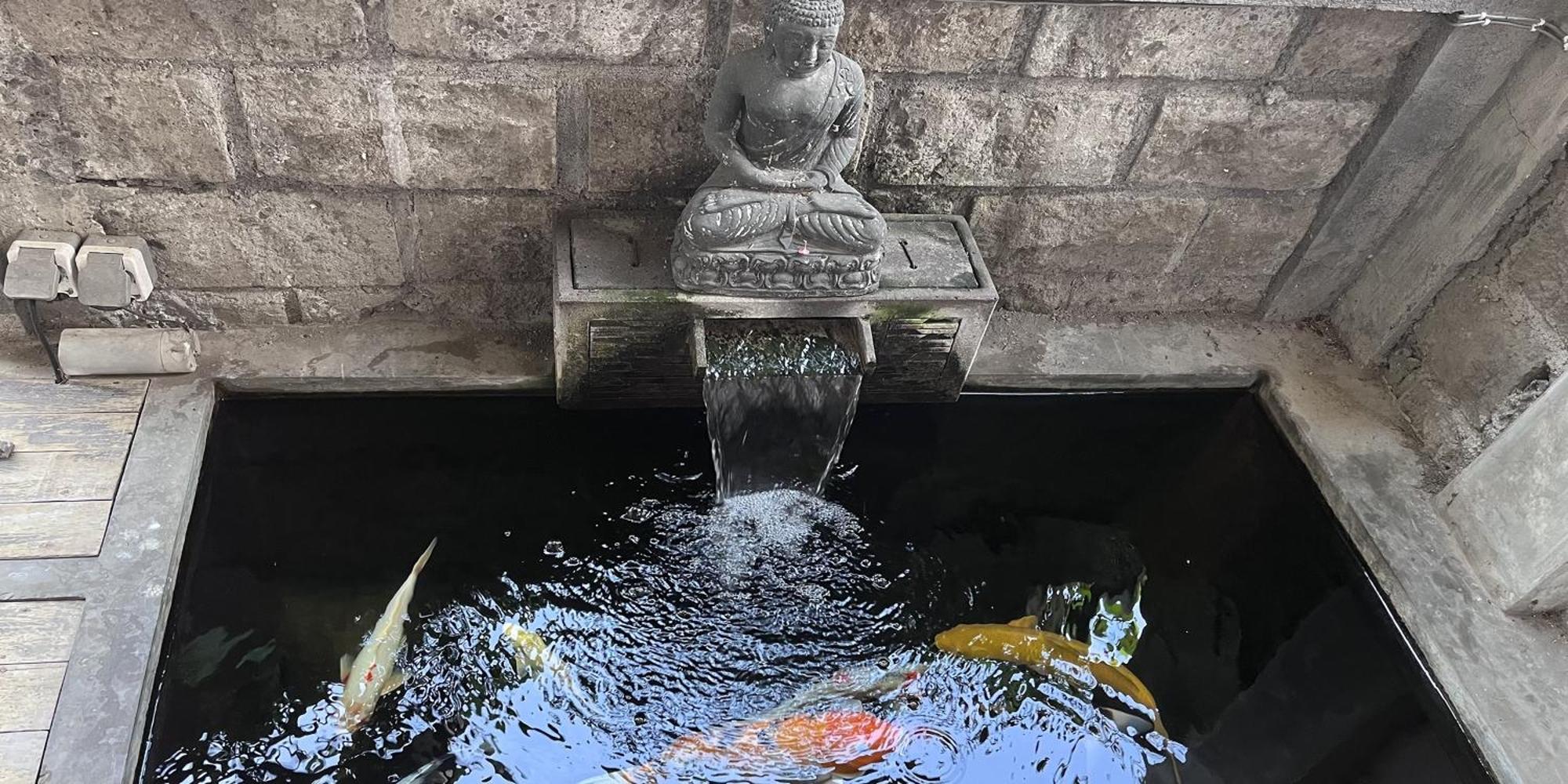 Pis Bolong Canggu 외부 사진